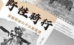 《野性骑行：穿越非洲六千公里荒漠》-盛林