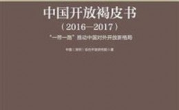 《中国开放褐皮书(2016–2017)》-综合开发研究院（中国·深圳）课题组
