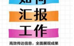 《如何汇报工作：高效传达信息，全面展现成果》-任康磊