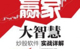 《从新股民到赢家：大智慧炒股软件实战详解》-马宏