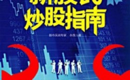 《新股民炒股指南》-戴永良