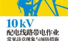 《10kV配电线路带电作业常见违章现象与预防措施》-鲍俊立