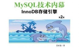 《MySQL技术内幕：InnoDB存储引擎(第2版)》