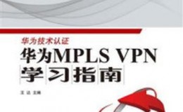 《华为MPLS VPN学习指南》-王达