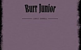 《Burr Junior》-George Manville Fenn