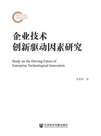 《企业技术创新驱动因素研究》-李苗苗