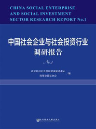 《中国社会企业与社会投资行业调研报告（No.1）》-南都公益基金会
