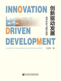 《创新驱动发展：效率评价与路径选择》-王珍珍