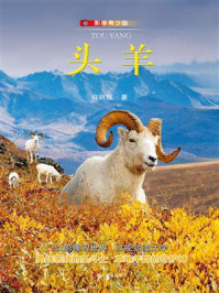 《头羊（影像青少版）》-许廷旺