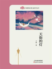 《“奇彩虹”中国原创幻想儿童文学丛书·天街的灯》-王倩