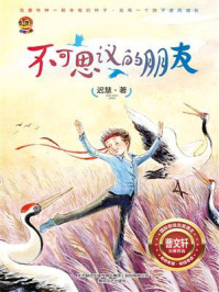 《不可思议的朋友—“好孩子”中国原创书系》-迟慧