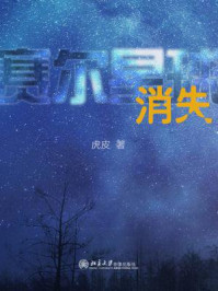 《赛尔星球10：消失》-虎皮