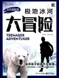 《极地冰河大冒险（少年冒险家）》-王连华,王连文