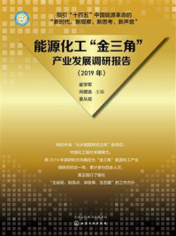 《能源化工“金三角”产业发展调研报告（2019年）》-崔学军