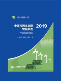 《中国可再生能源发展报告（2019）》-水电水利规划设计总院
