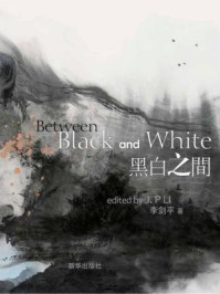 《黑白之间：李剑平水墨陶瓷作品集》-李剑平