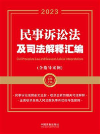 《民事诉讼法及司法解释汇编：含指导案例（2023年版）》-中国法制出版社