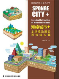 《海绵城市+水环境治理的可持续实践》-正和恒基