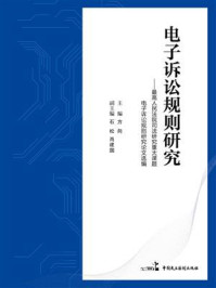 《电子诉讼规则研究：最高人民法院司法研究重大课题电子诉讼规则研究论文选编》-方向