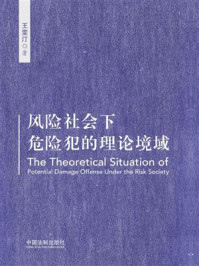 《风险社会下危险犯的理论境域》-王雯汀