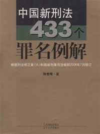 《中国新刑法433个罪名例解》-张世琦