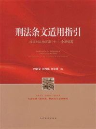 《刑法条文适用指引：根据刑法修正案（十一）全新编写》-时延安