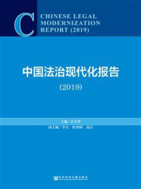 《中国法治现代化报告（2019）》-李力