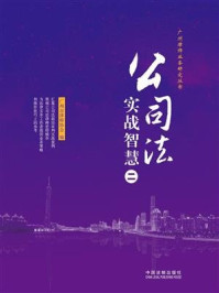 《公司法实战智慧（二）》-广州市律师协会