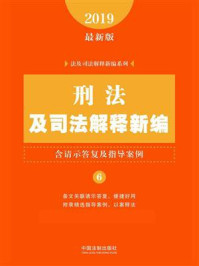 《刑法及司法解释新编（含请示答复及指导案例）（2019年版）》-中国法制出版社