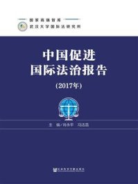 《中国促进国际法治报告（2017年）》-肖永平
