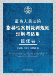 《最高人民法院指导性案例裁判规则理解与适用·担保卷（下册）》-江必新