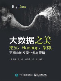 《大数据之美：挖掘、Hadoop、架构，更精准地发现业务与营销》-黄宏程