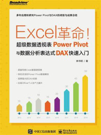 《Excel革命！超级数据透视表Power Pivot与数据分析表达式DAX快速入门》-林书明