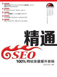 《精通SEO：100%网站流量提升密码》-龙马工作室