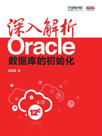 《深入解析Oracle：数据库的初始化（重点大学计算机专业系列教材）》-盖国强