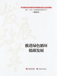 《推进绿色循环低碳发展（学习贯彻习近平新时代中国特色社会主义经济思想 做好“十四五”规划编制和发展改革工作系列丛书）》-丛书编写组