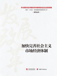 《加快完善社会主义市场经济体制（学习贯彻习近平新时代中国特色社会主义经济思想做好“十四五”规划编制和发展改革工作系列丛书）》-丛书编写组