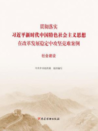 《贯彻落实习近平新时代中国特色社会主义思想在改革发展稳定中攻坚克难案例：社会建设》-中共中央组织部