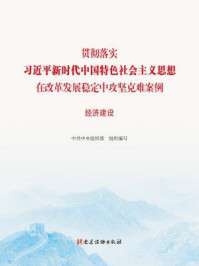 《贯彻落实习近平新时代中国特色社会主义思想在改革发展稳定中攻坚克难案例：经济建设》-中共中央组织部