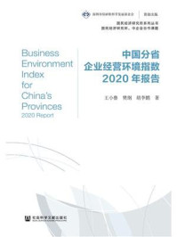 《中国分省企业经营环境指数2020年报告(国民经济研究所系列丛书)》-樊纲,王小鲁,胡李鹏