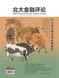 《大城市群重构金融格局（《北大金融评论》2021年第1期.全6期）》-南方报业传媒集团