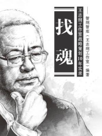 《找魂：王志纲工作室战略策划10年实录》-智纲智库（王志纲工作室）