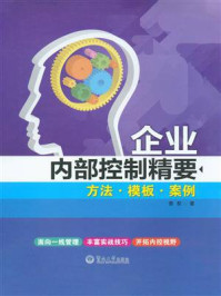 《企业内部控制精要：方法·模板·案例》-娄权