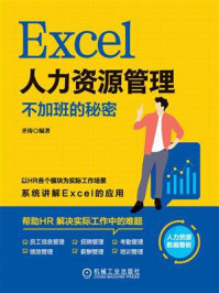 《Excel人力资源管理：不加班的秘密》-齐涛