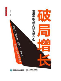 《破局增长：发展中的企业向华为学什么》-宋柳男