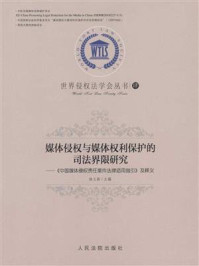 《媒体侵权与媒体权利保护的司法界限研究：中国媒体侵权责任案件法律适用指引及释义》-杨立新