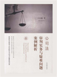 《公司法审判实务与疑难问题案例解析》-王东敏