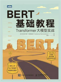 《BERT基础教程：Transformer大模型实战》-苏达哈尔桑·拉维昌迪兰