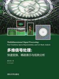 《多维信号处理： 快速变换、稀疏表示与低秩分析》-戴琼海