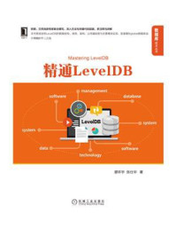 《精通LevelDB》-廖环宇